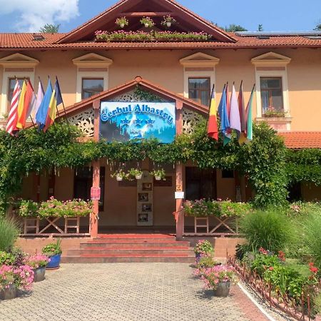 Vila Cerbul Albastru Hotel Moneasa Eksteriør billede