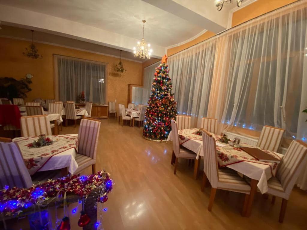 Vila Cerbul Albastru Hotel Moneasa Eksteriør billede