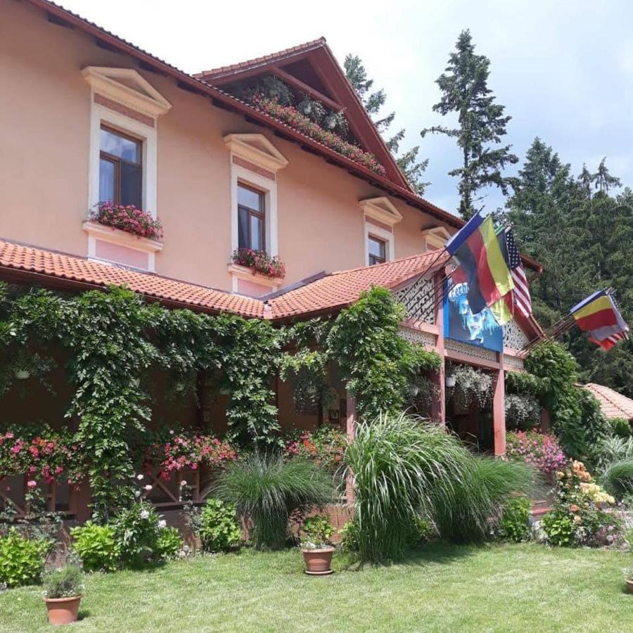 Vila Cerbul Albastru Hotel Moneasa Eksteriør billede