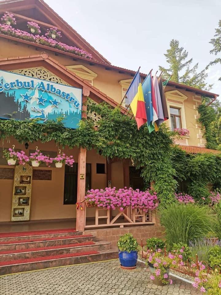 Vila Cerbul Albastru Hotel Moneasa Eksteriør billede